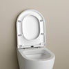 Assento de WC Soft-Close U1002