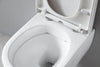 Pacote completo de WC 35: NT2039 Branco com assento Soft-Close