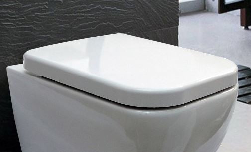 Tampa de sanita Assento de sanita Duroplast
